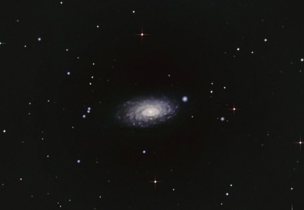  Messier 63  Galaxia del Girasol