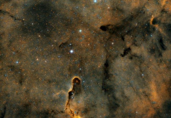 IC 1396 The Elephant´s Trunk Nebula