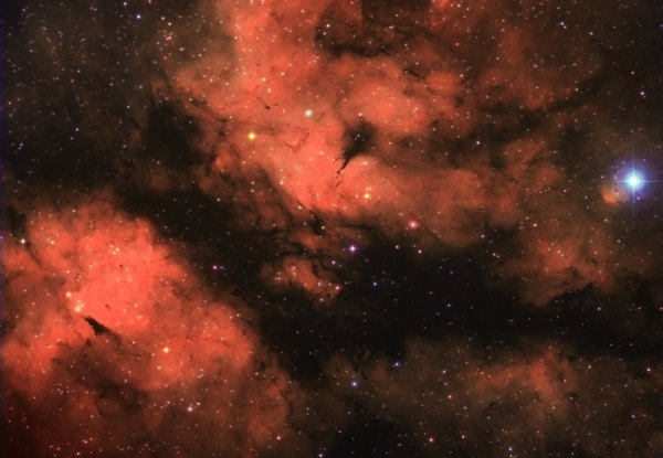 IC 1318 Batterfly nebula