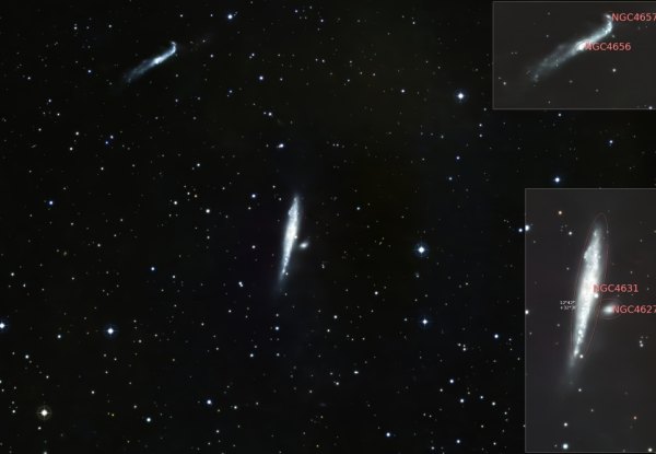 NGC 4631, La galaxia de la ballena.